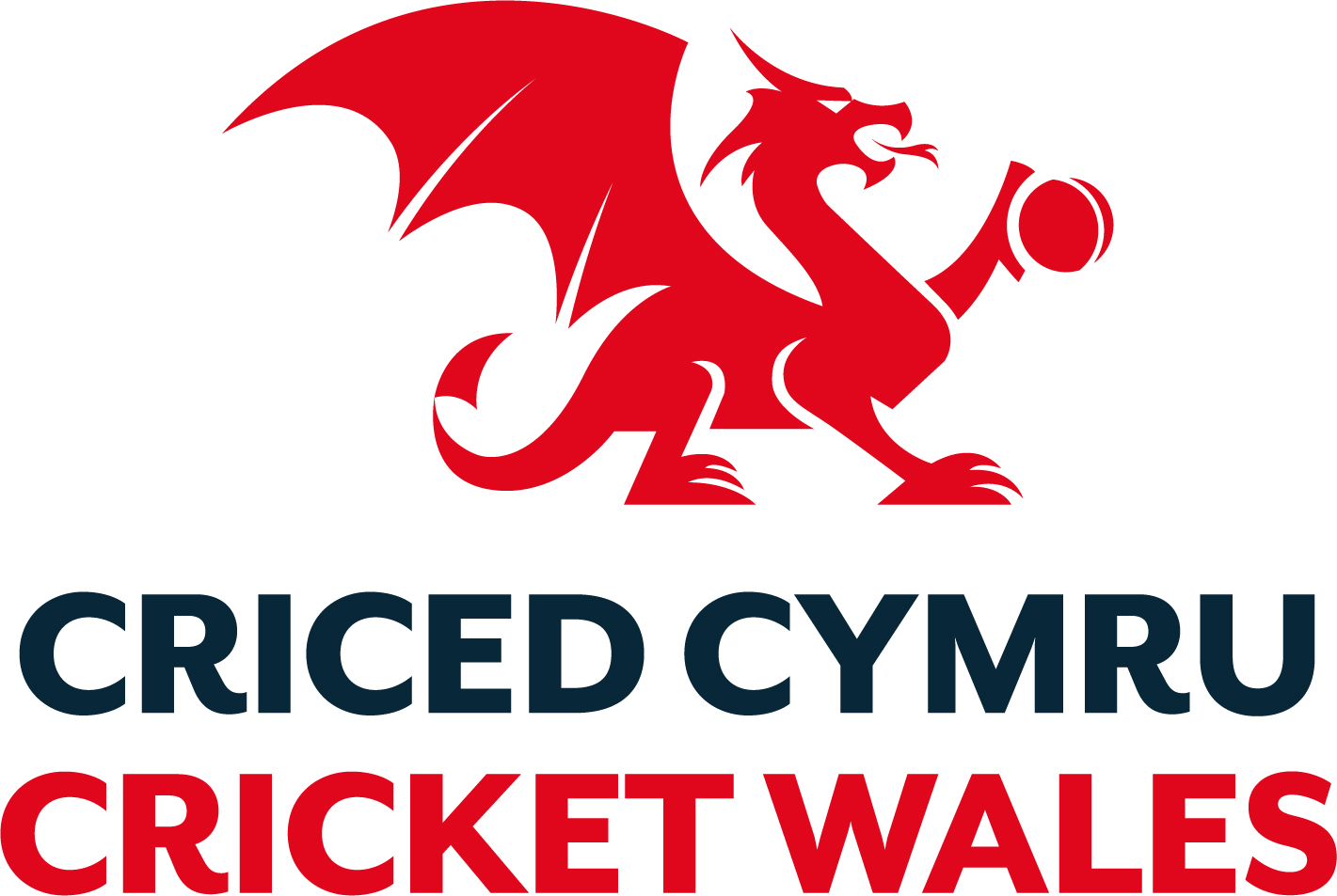 Cricket Wales